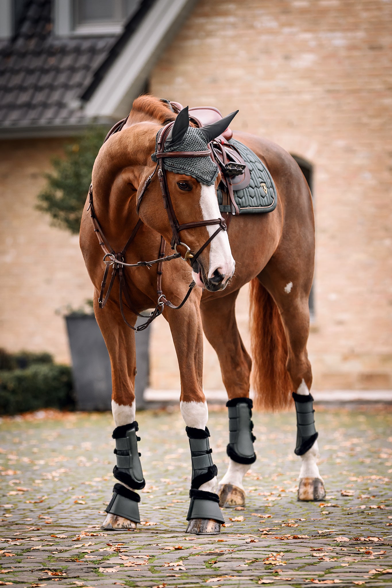 Horsewear