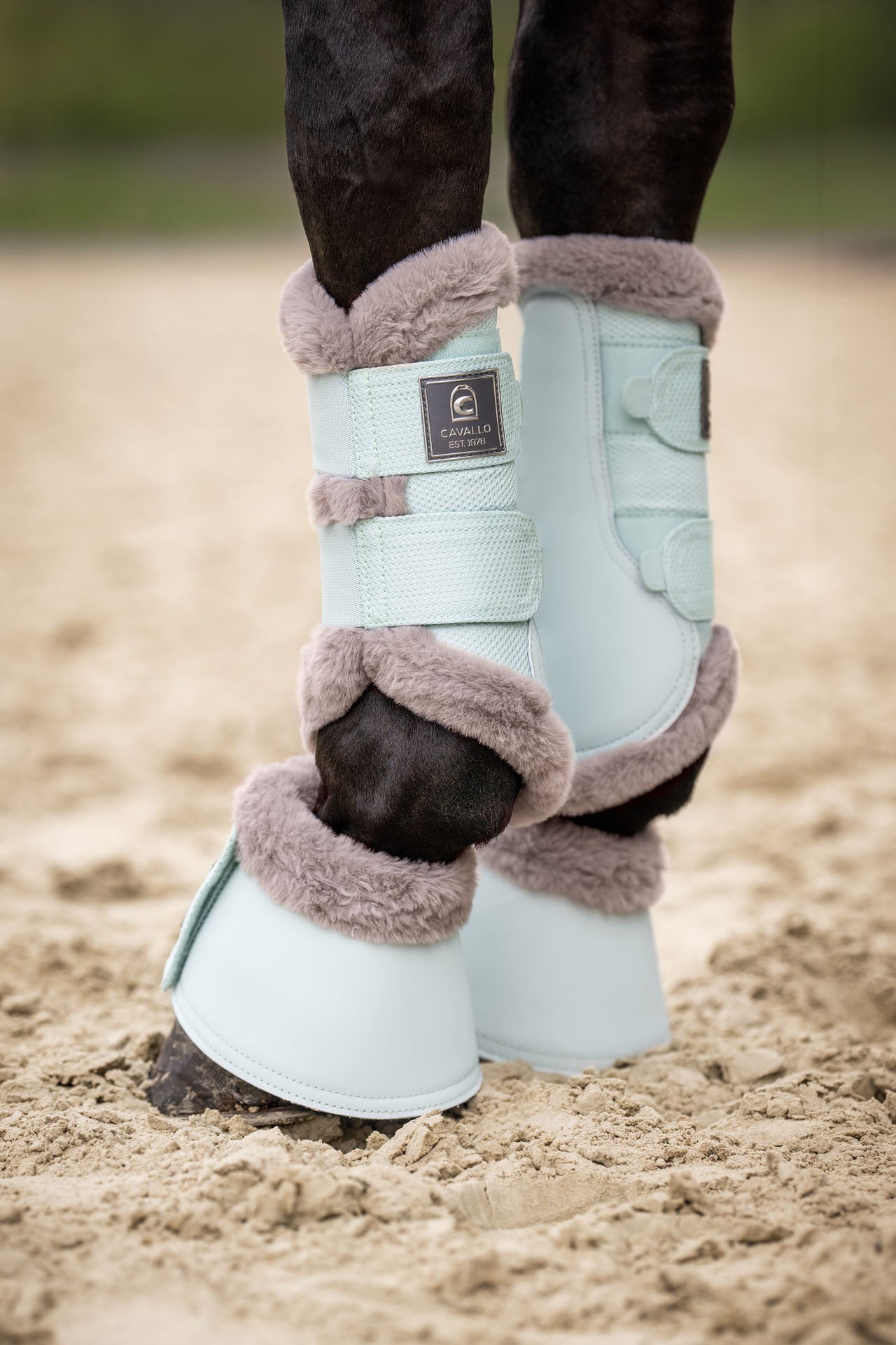 Horse Boots