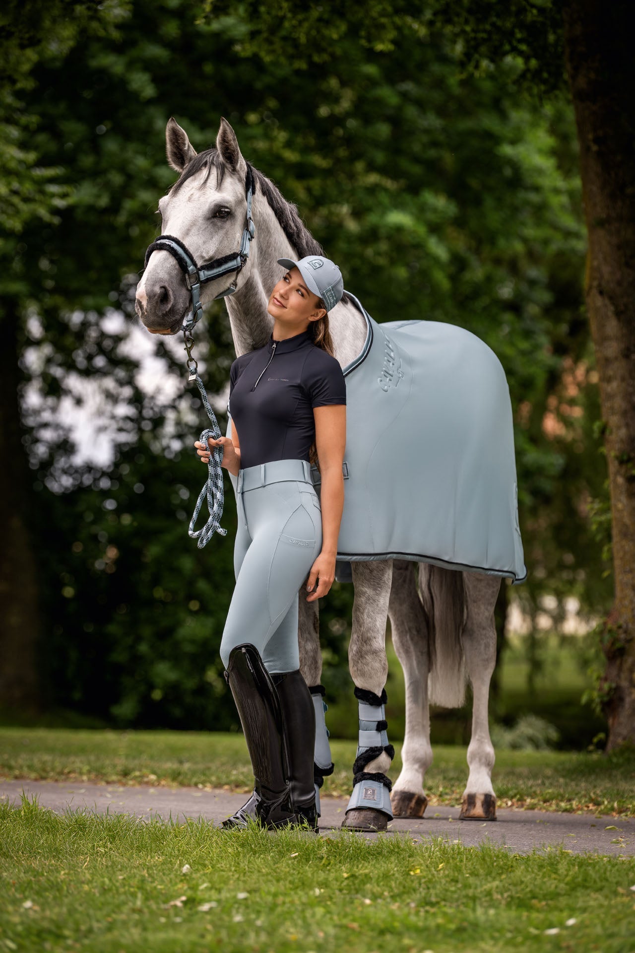 Horse Rugs