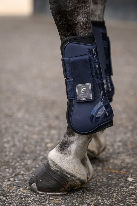 Cavallo CAVALHOLDA Horse Tendon Boots