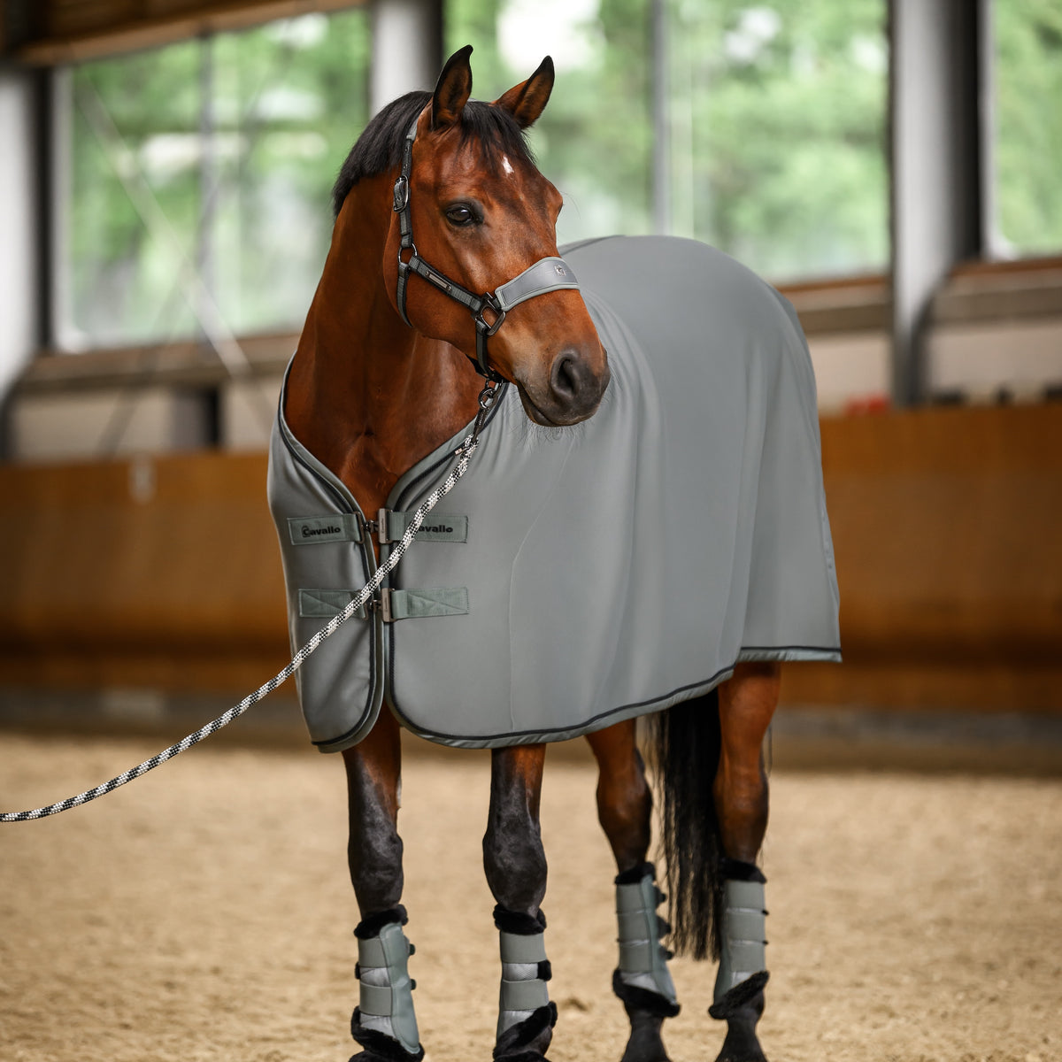 Cavallo CAVALQUICK COOLER RUG Horse Rug – Cavallo UK
