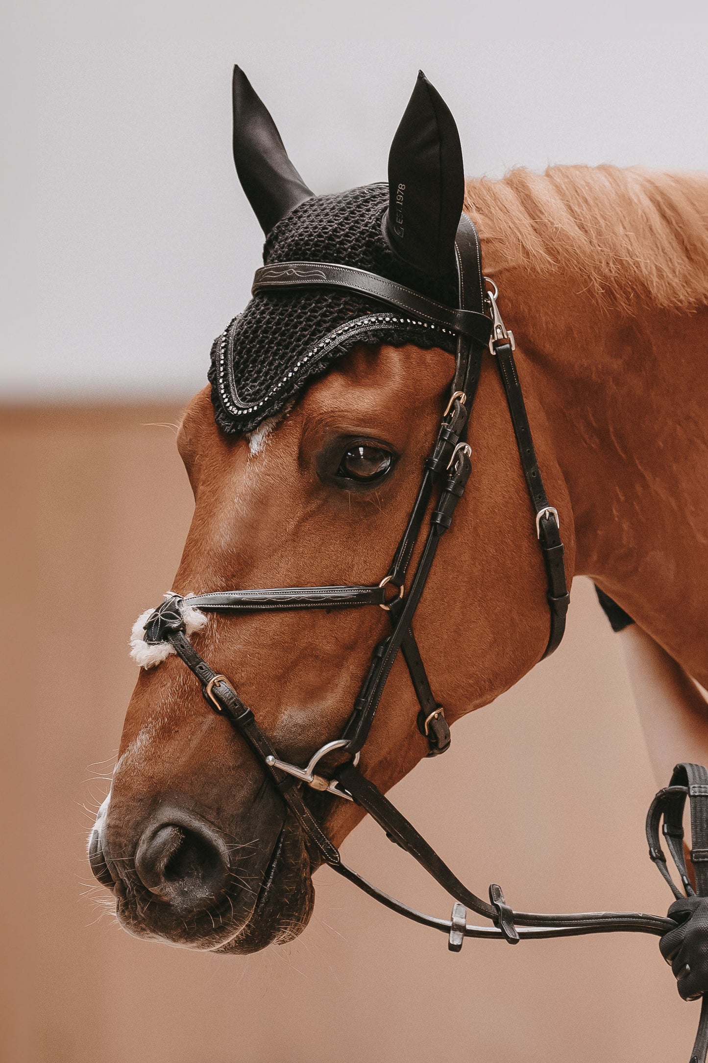 Cavallo CAVALJETTY Horse Fly Ears