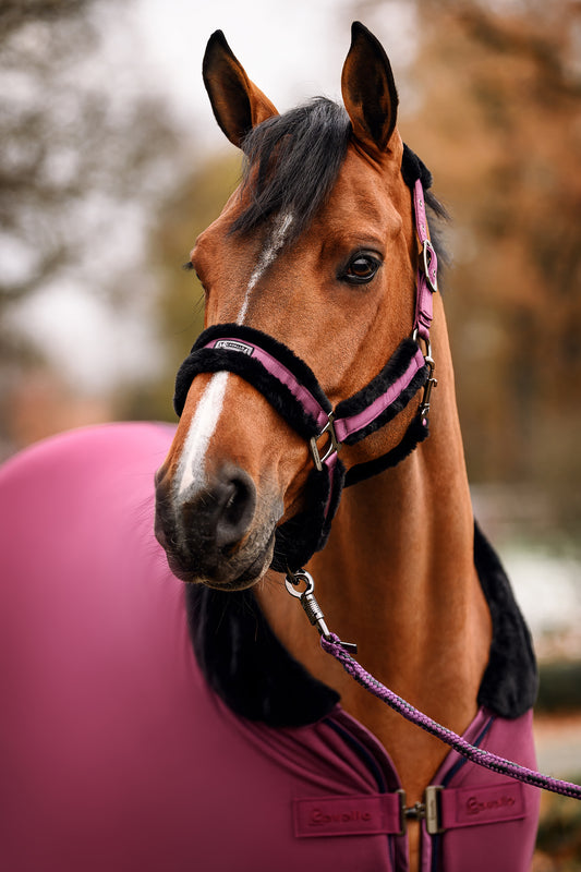 Cavallo CAVALJOSELLE Horse Rug