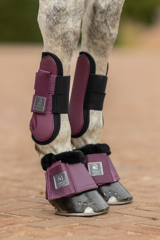 Cavallo CAVALHOLDA Horse Tendon Boots