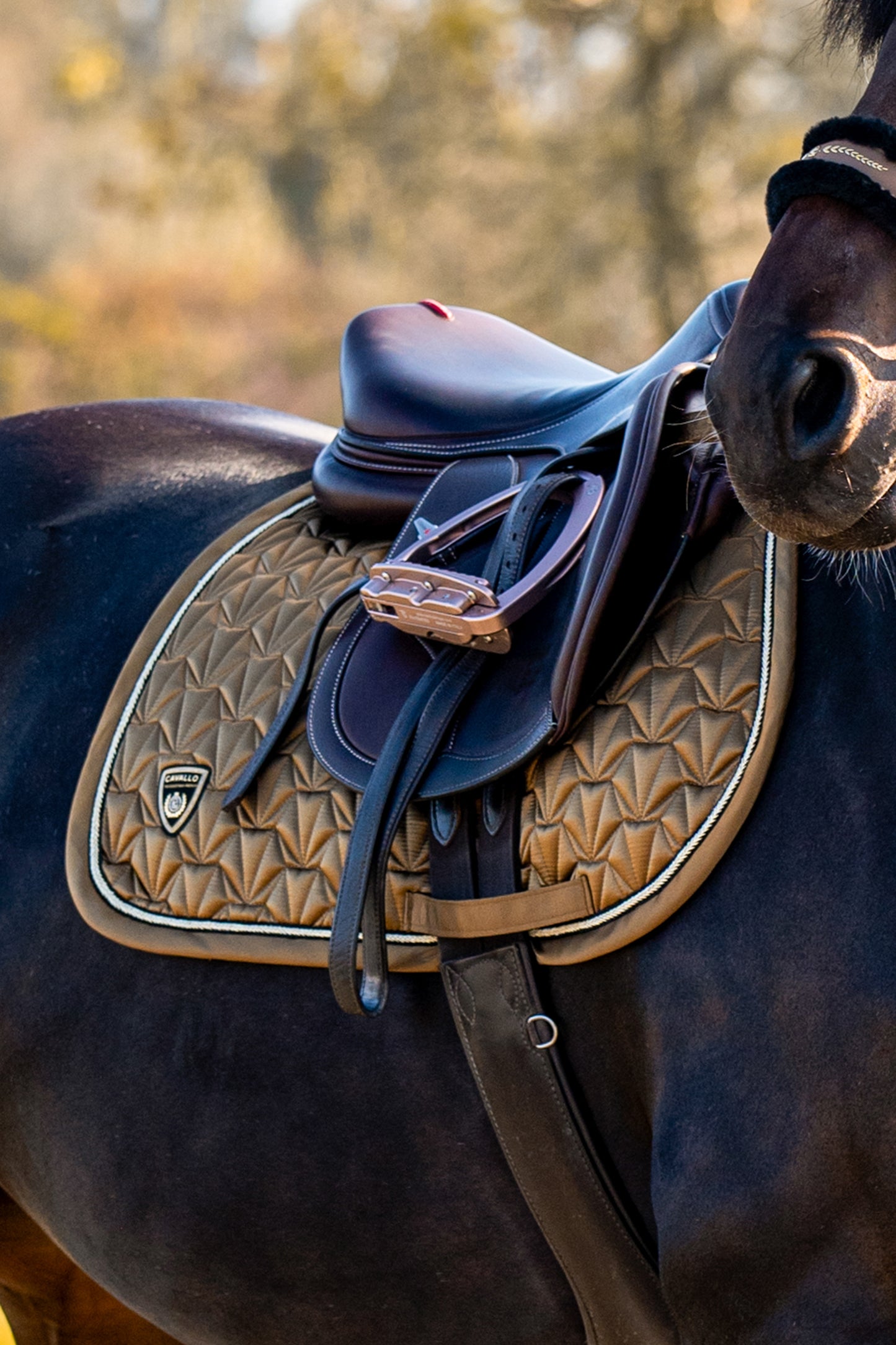 Cavallo Premium Capsule CAVALLYANA Saddle Pad